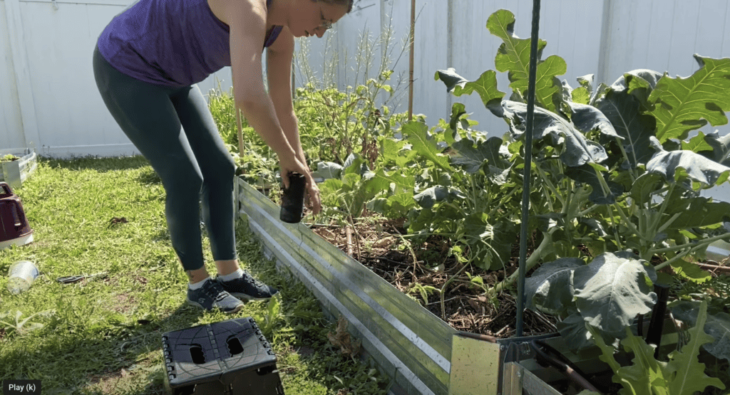 Florida weave tomato support